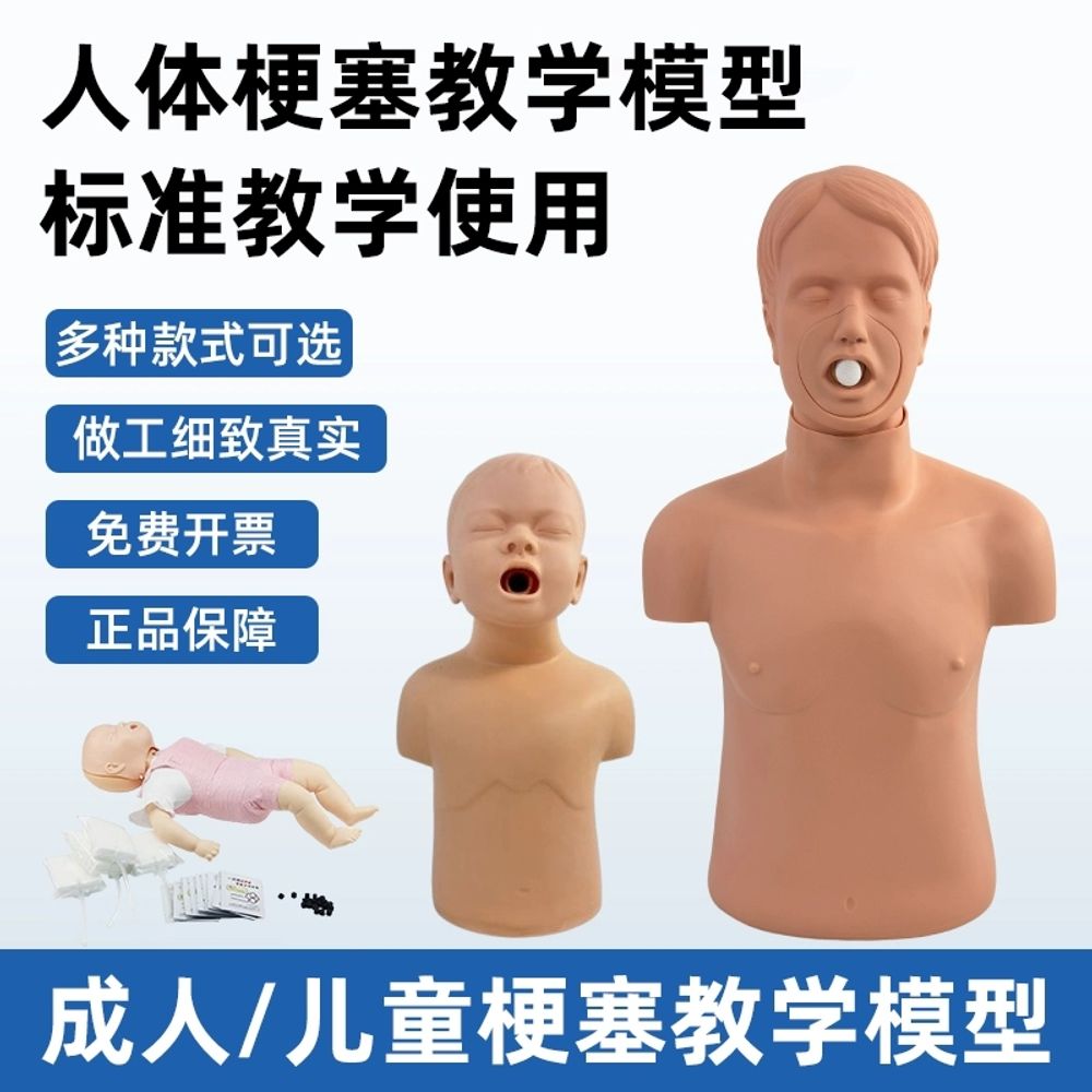 간호실습 비강위관 및 기관 모형 훈련 비강 A. 경색 모델 모델  CPR 호흡기 막 10 - 상세 이미지 2
