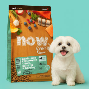 EXP27.02.18 l  나우 사료  독 스몰브리드 어덜트 피쉬, 9.... 솔직 후기 | 실제 사용자 리뷰 총정리 - 상품 이미지 1