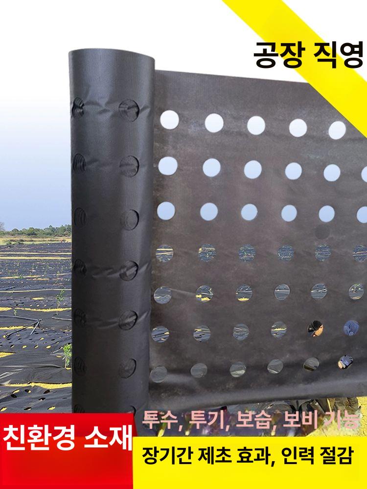 유공 부직포 덮개 묘목 비닐 잡초 농사 원예 자재 구멍 0.6x100 2-3년두께버전 1홀 - 상세 이미지 2