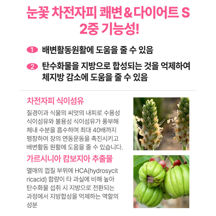 헬씨허그 눈꽃 차전자피 쾌변 다이어트 가르시니아 식이섬유 28포, 1개 - 상세 이미지 2
