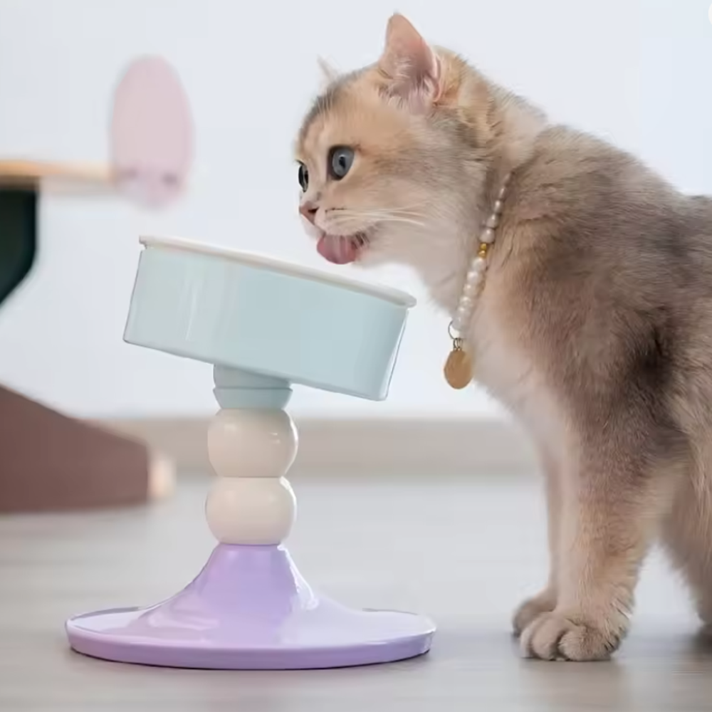 그램도그 강아지 고양이 높이조절 키높이 각도조절 식기 밥그릇 물그릇 애견 제품 이미지