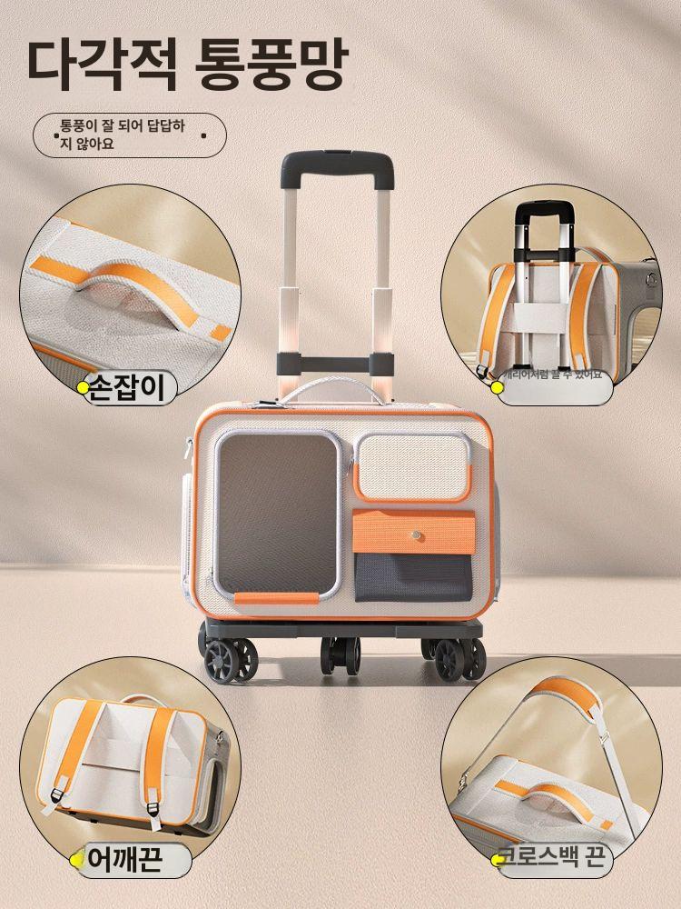 반려견 투명 여행 강아지 이동캐리어 운반 켄넬 베이지 투명 창고-손잡이 없음 이미지 7