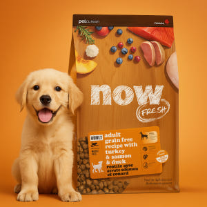 EXP27.02.10 l  나우 사료  독 올브리드 어덜트, 5.4kg,... 솔직 후기 | 실제 사용자 리뷰 총정리 - 상품 이미지 1