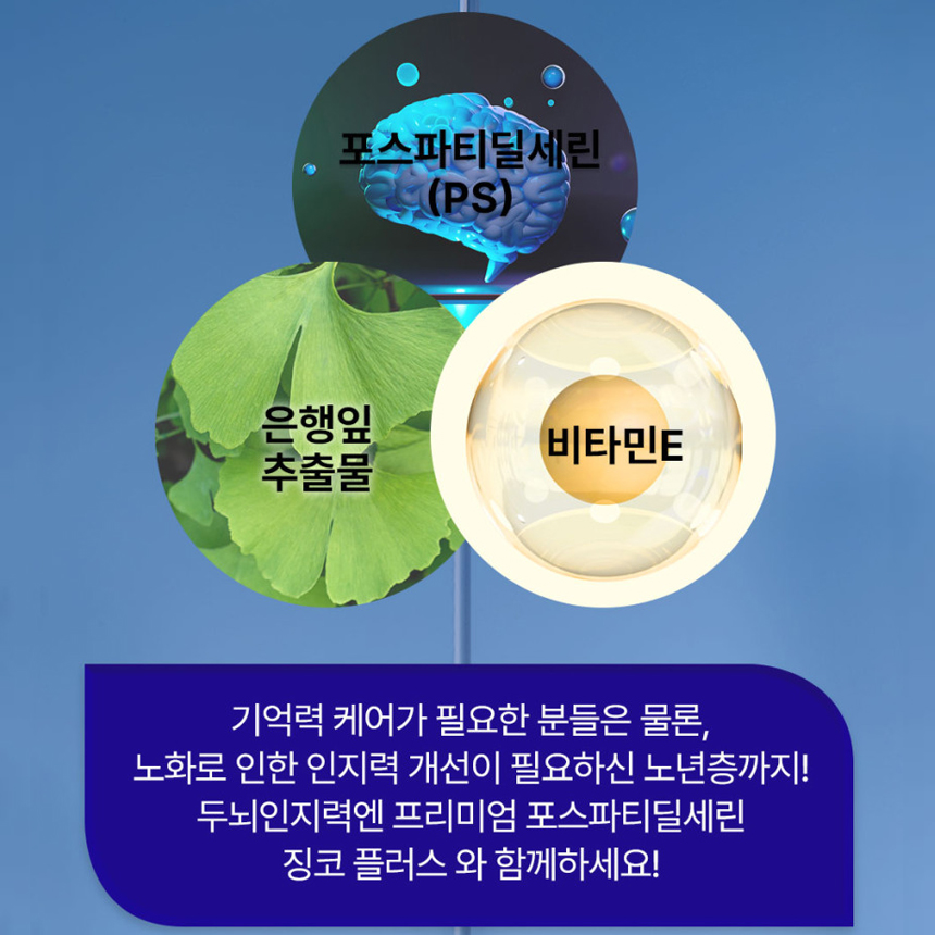 두뇌인지력엔 프리미엄 포스파티딜세린 앤 징코 플러스 450mg 120캡슐, 1개 - 상세 이미지 3