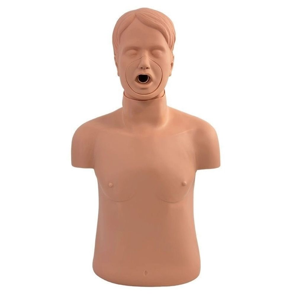 간호실습 비강위관 및 기관 모형 훈련 비강 A. 경색 모델 모델  CPR 호흡기 막 10 - 상품 이미지