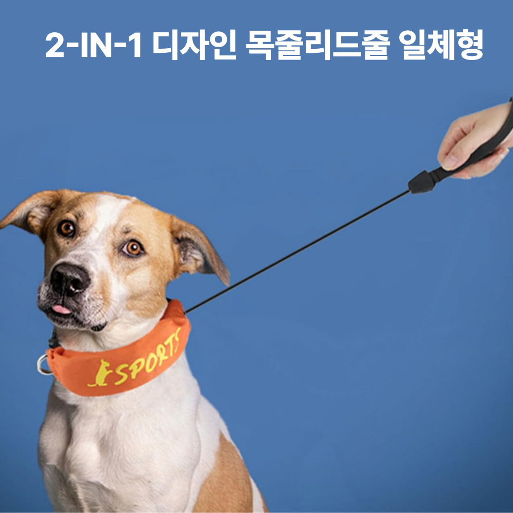 위드레오 강아지 2 in 1 리트렉터블 목줄 리드줄 세트 일체형 산책용품 이미지 6