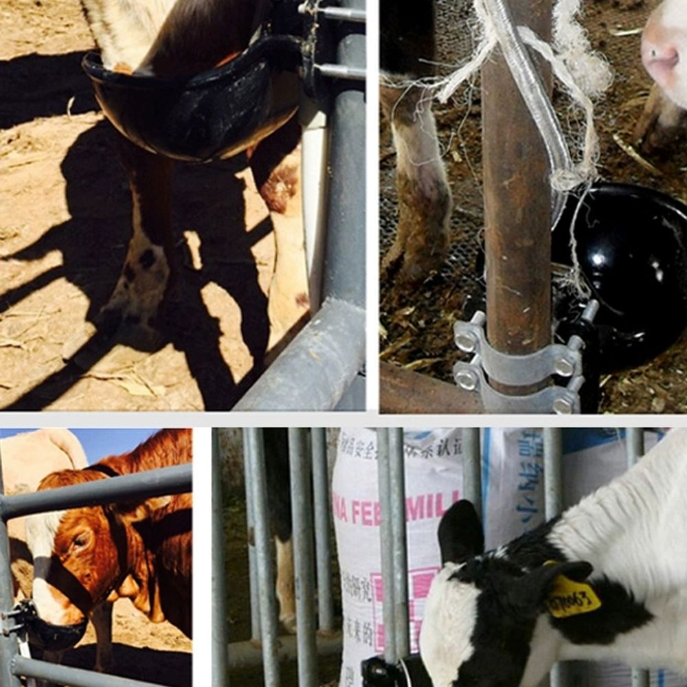 동물 자동급수기 축사 투명 고양이 엔펫 자동 A. 큰 두께의 주철 액세서리 없음 제조업체 - 상세 이미지 3
