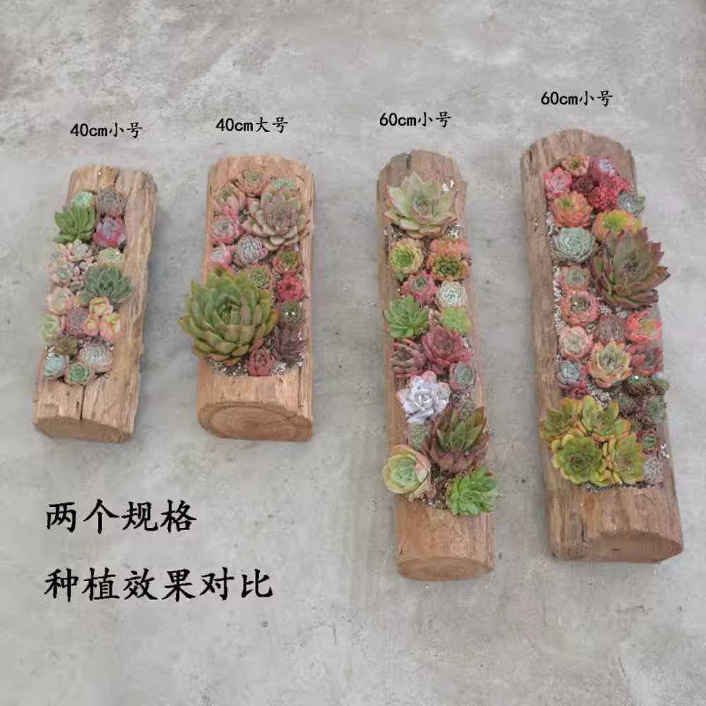 통나무 화분 통나무통 숲 팬션 목재 발코니 여물통 - 상세 이미지 2