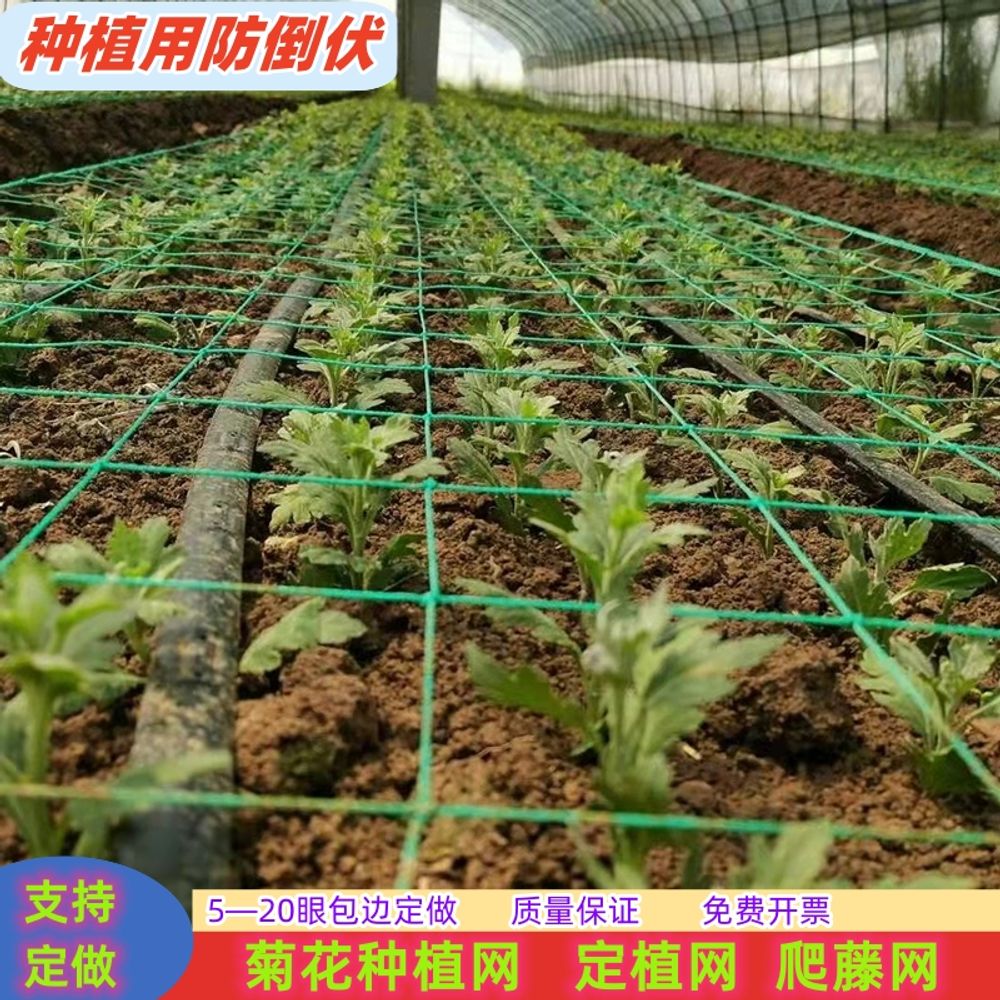 텃밭용 고추망 절화망 2미터 메쉬 재배망 2 A. 6개 격자 0.6m 폭 100m 길이 1 - 상세 이미지 2
