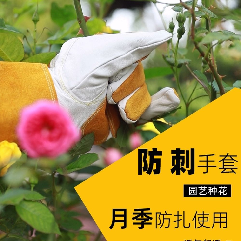장미장갑 가든 장갑 텃밭용 작업용 원예용 가시방지 가시 A. 짧은 23cm 인쇄 - 상세 이미지 2