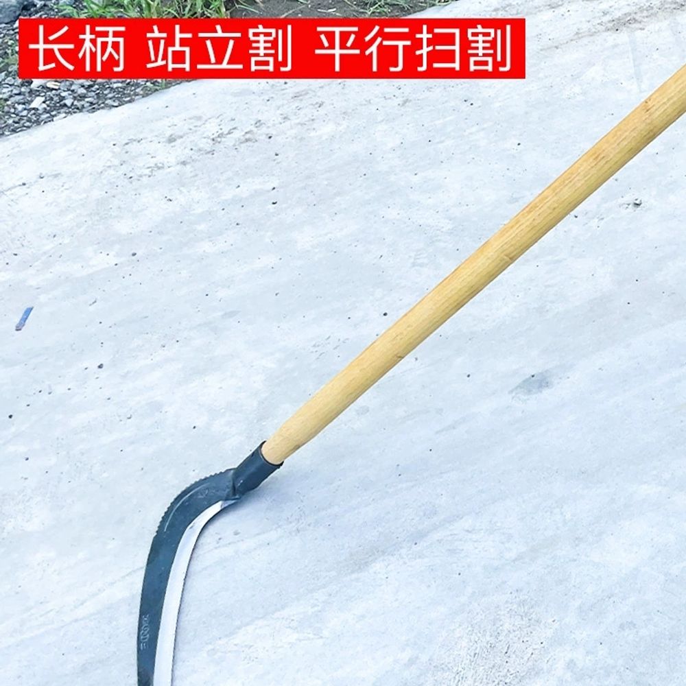 장대낫 긴낫 농기구 수확기 나뭇가지 부추 가지치기 A. 오른쪽 스트레이트 셔츠 나이프 헤드 - 상세 이미지 3