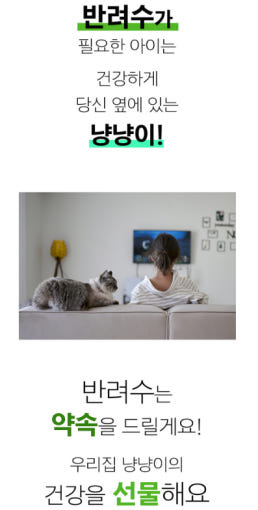 thumbnail-11