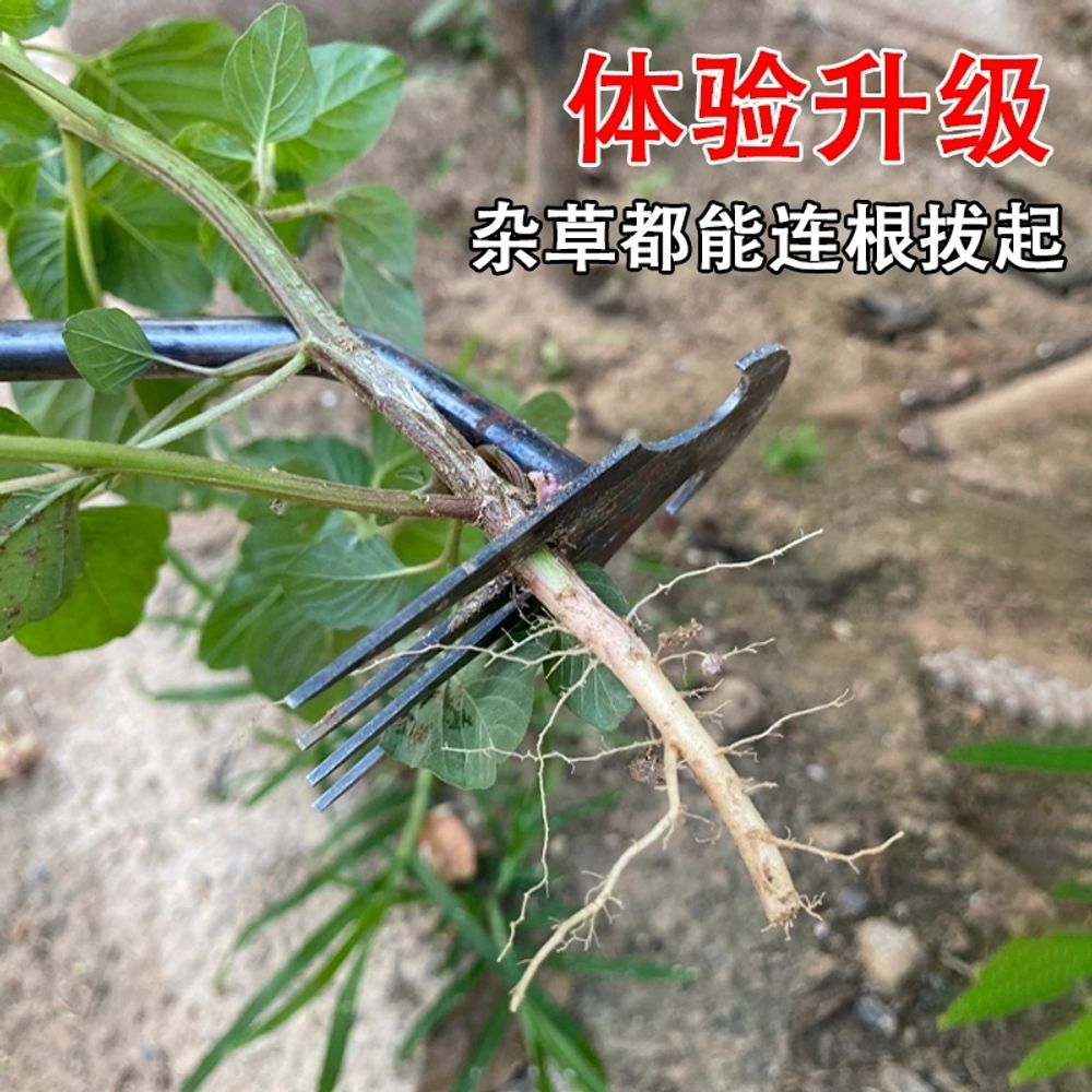 잡초 제거 낫 긴낫 농기구 가지치기 접이식 A. 확장된 5개 이빨 제초 도구구부리지 않음 - 상세 이미지 3