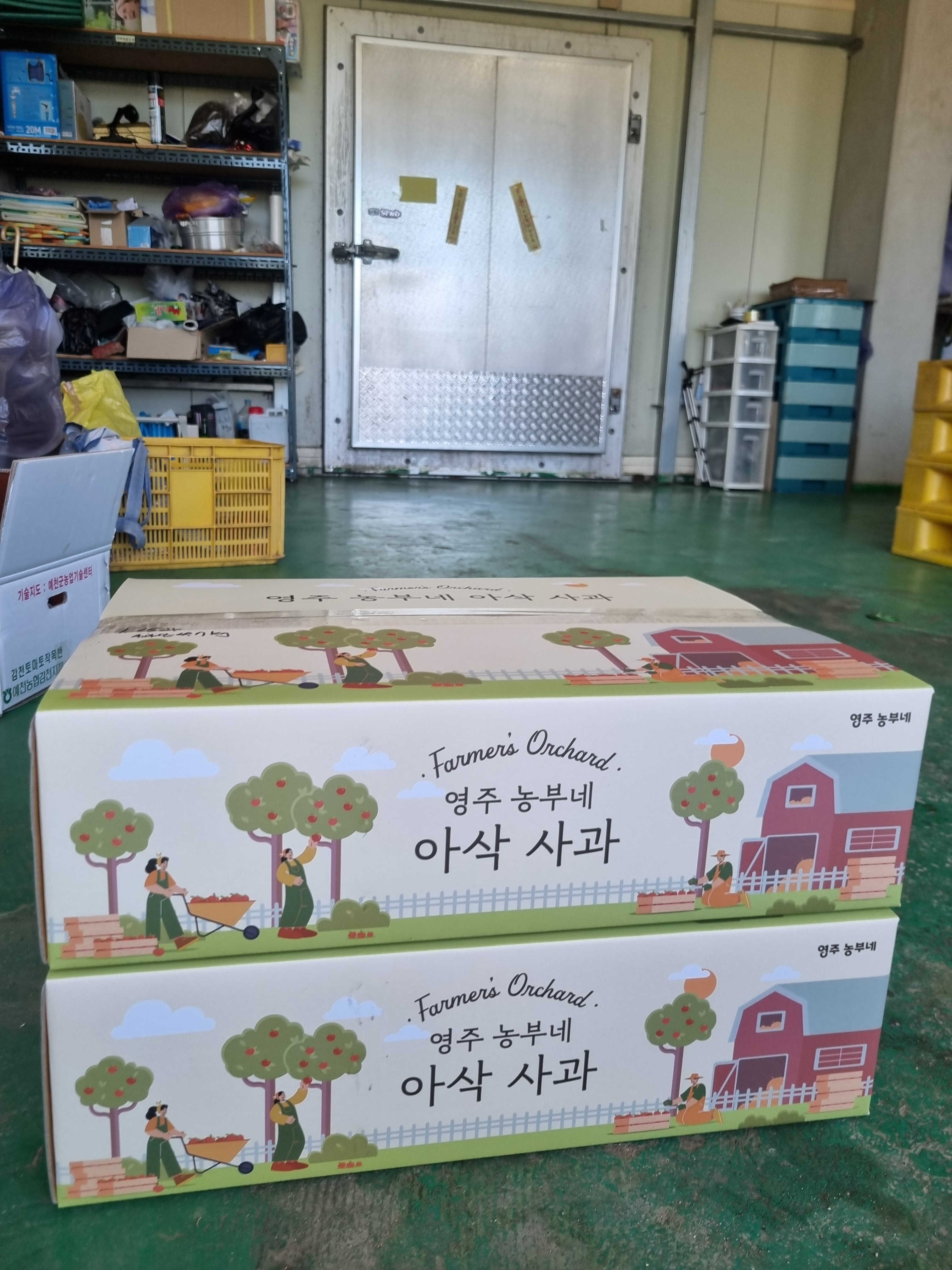 [농가직송] 영주농부네  아오리사과 - 상세 이미지 3