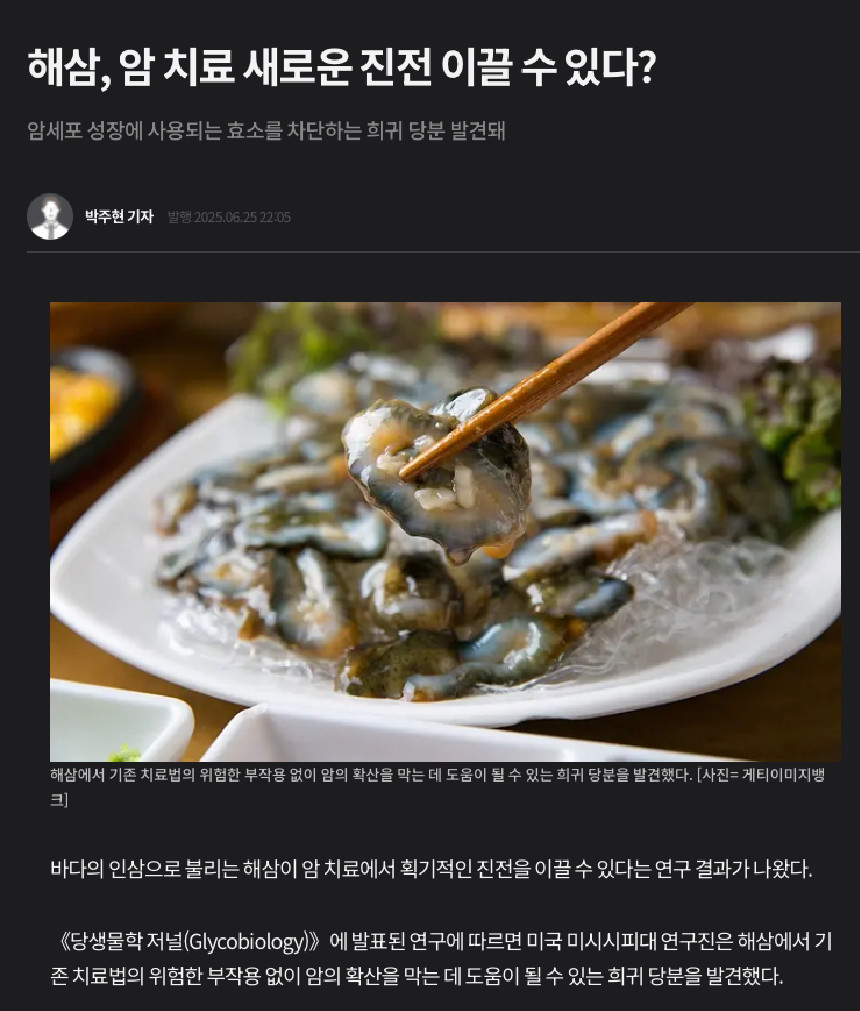 해삼, 암 치료 새로운 진전 이끌 수 있다