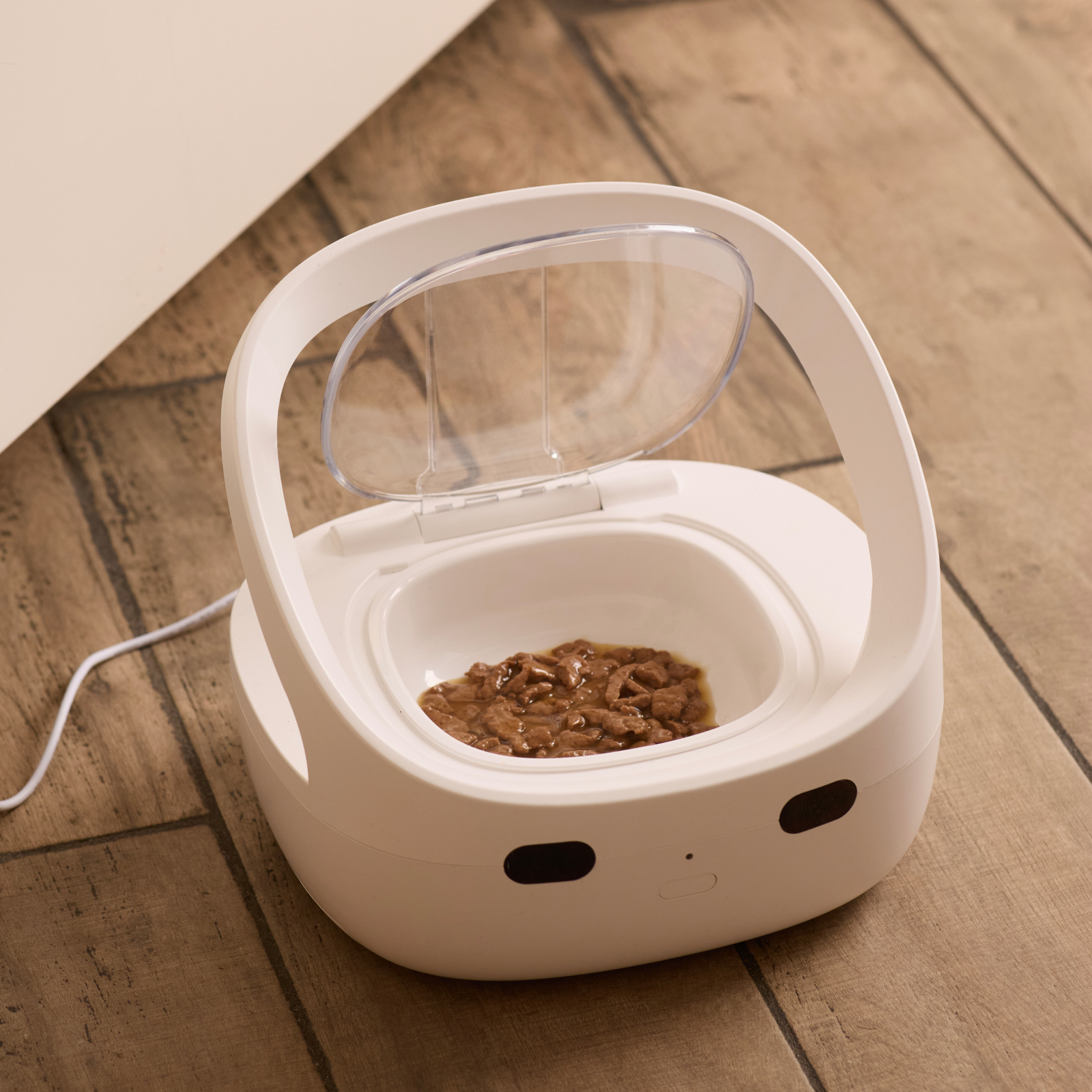 다묘가정 개별인식 자동급식기 내밥이야 RFID태그 목걸이 세트