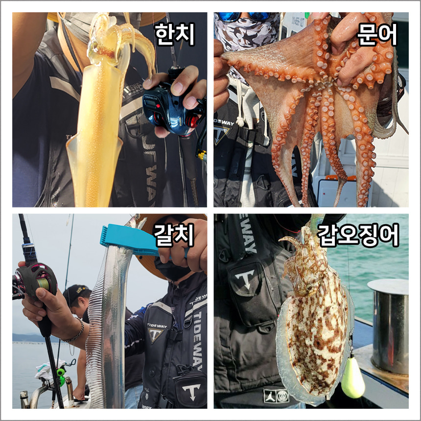 은성 실스타 트라이펙타 LCD W 더블핸들 베이트릴 수심측정릴 한치 문어 갈치 - 상세 이미지 3
