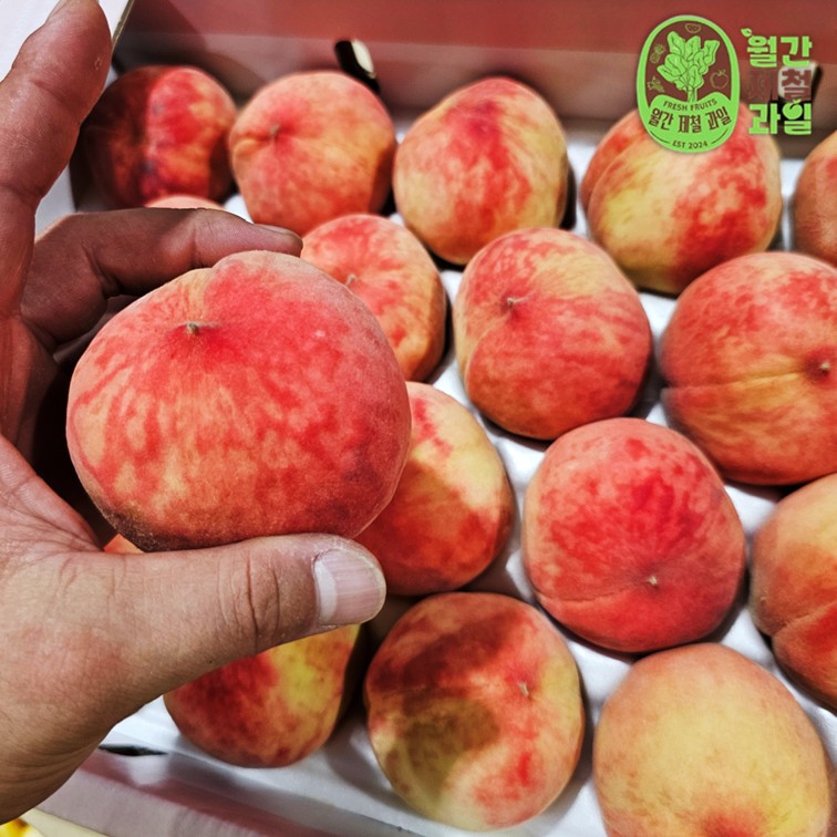 의성 복숭아 햇살어린 복숭아 천도 딱딱 딱복숭아 물복숭아 딱복 물복 4kg