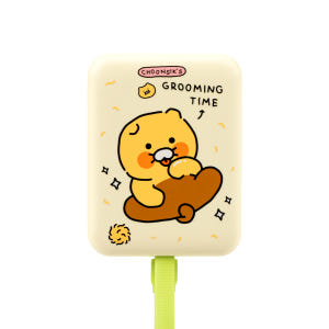 카카오프렌즈 데일리 춘식이 맥세이프 무선 보조배터리 10000mAh, 그린