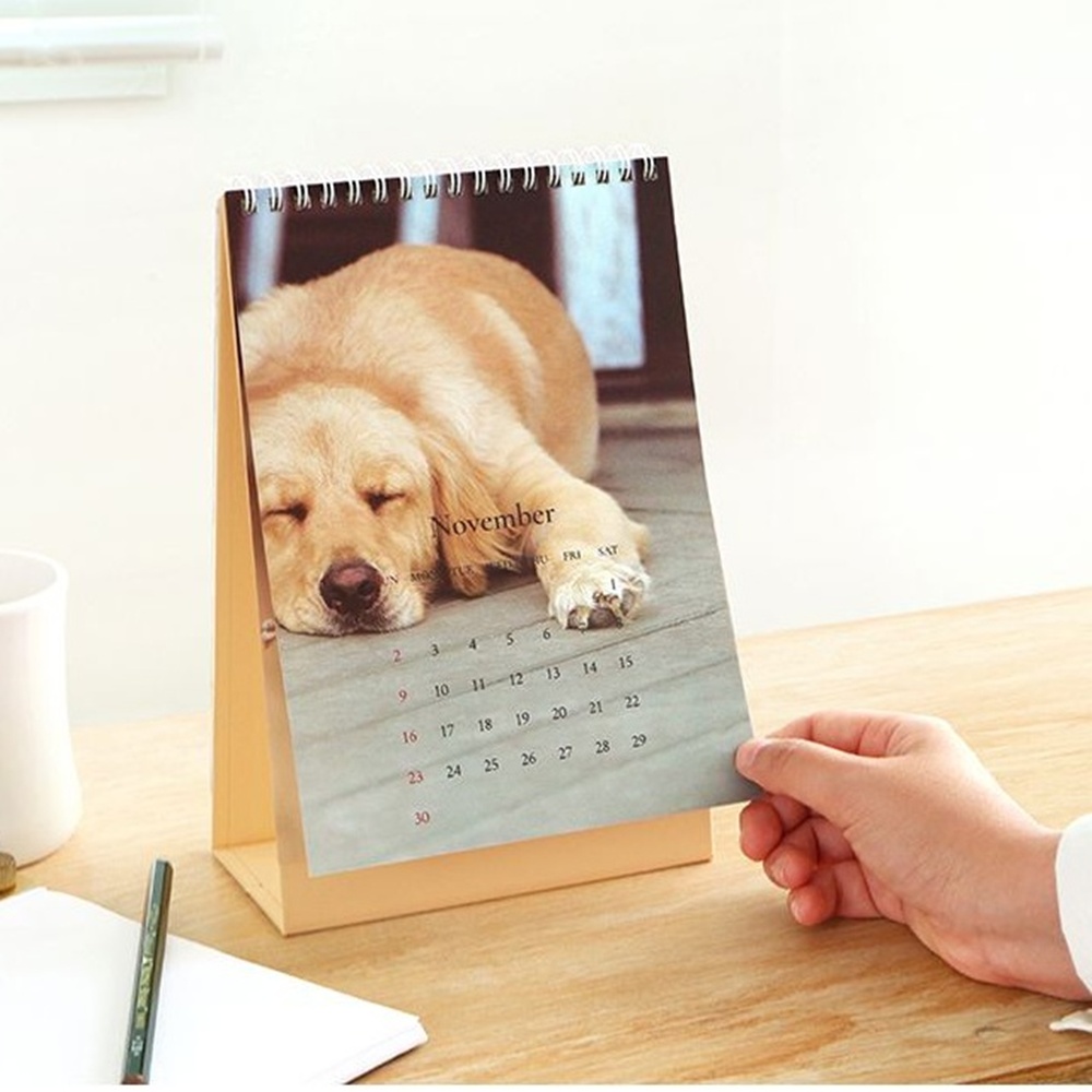 고양이 2026년 탁상 달력 26년 책상 달력 감성 포토 캘린더 인디고 2026 - 상세 이미지 5