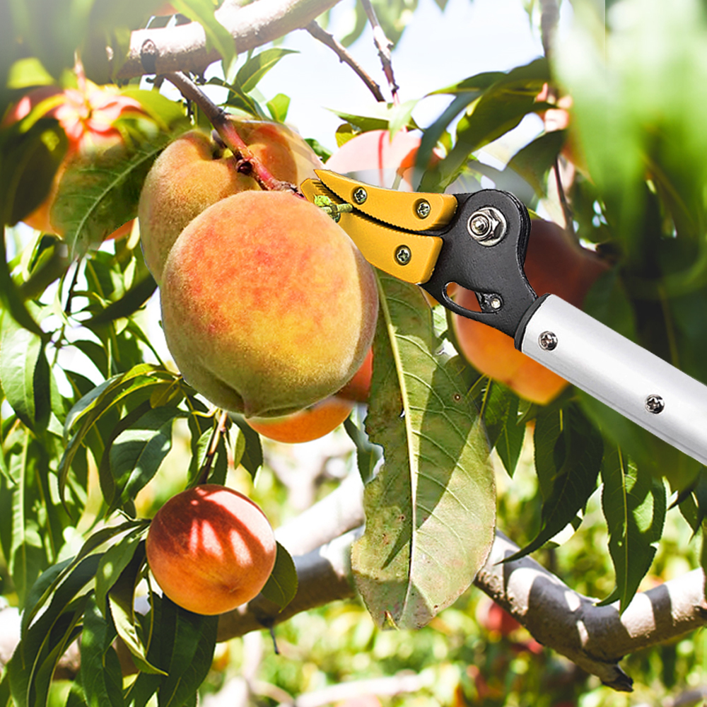 나무 가지치기 고지가위 과일따기 장대 대형 전지가위