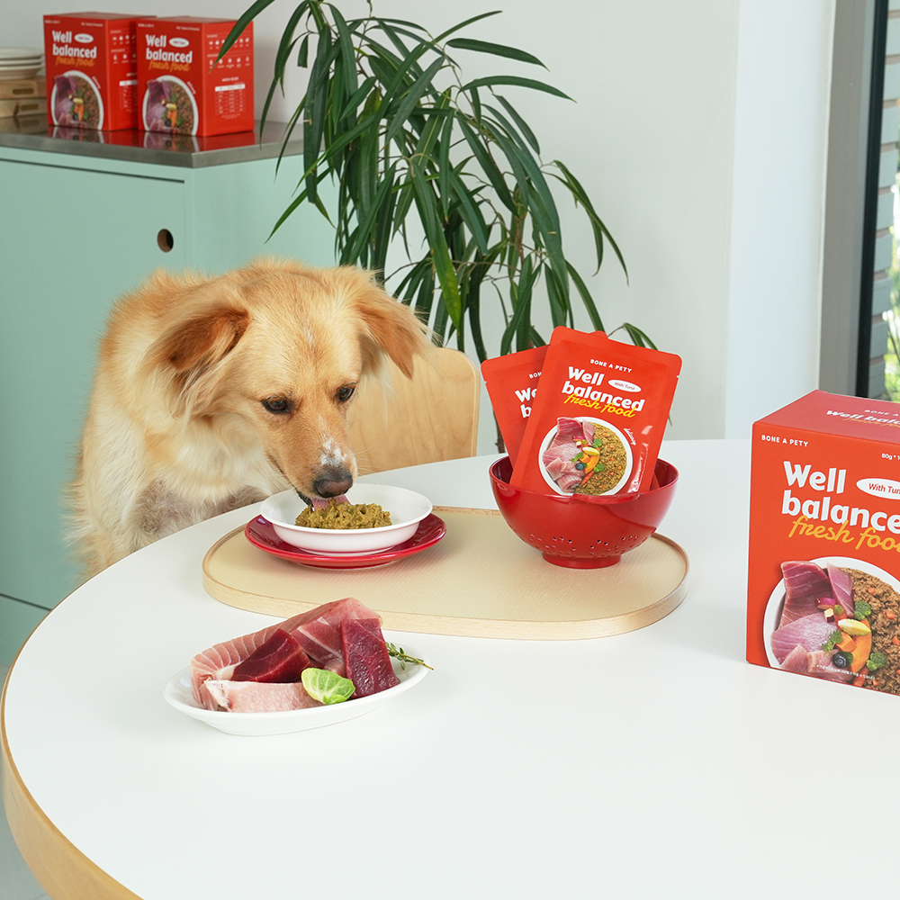 본아페티 웰밸런스드 강아지 화식 눈물자국 참치 자연식 사료 눈+눈물, 80g, 10개