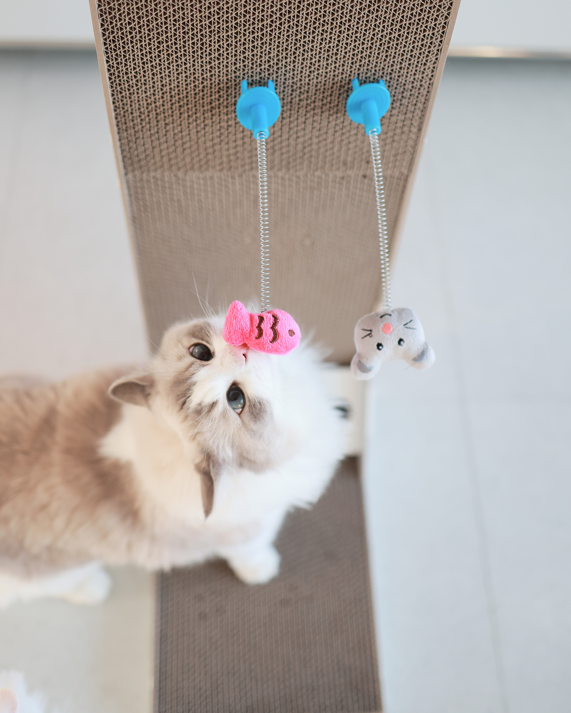 아토주 엘라인 고양이 수직 스크래쳐 83cm 화이트