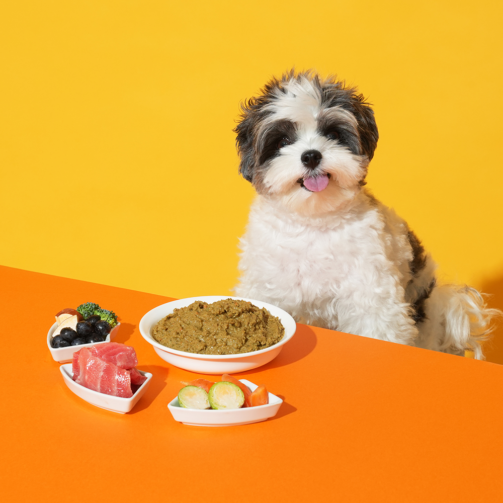 본아페티 웰밸런스드 강아지 화식 눈물자국 참치 자연식 사료 눈+눈물, 80g, 10개