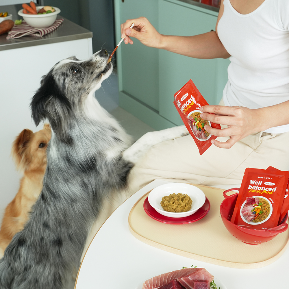 본아페티 웰밸런스드 강아지 화식 눈물자국 참치 자연식 사료 눈+눈물, 80g, 10개