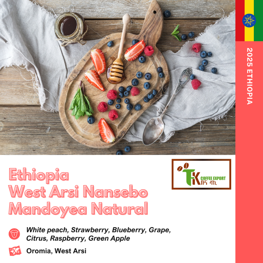 에티오피아 웨스트 아라시 난세보 만도예 내추럴