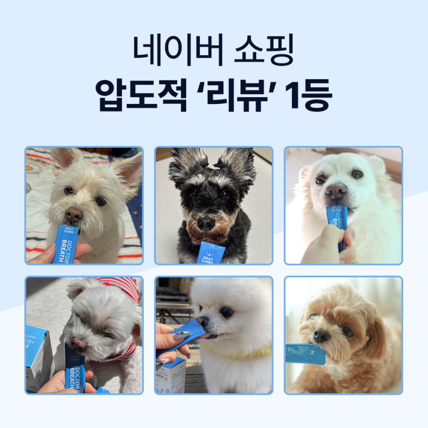 닥터바이 강아지 기관지 영양제 호흡기 면역 기침 콧물 켁켁거림 브레스, 30포, 1개 사진 2