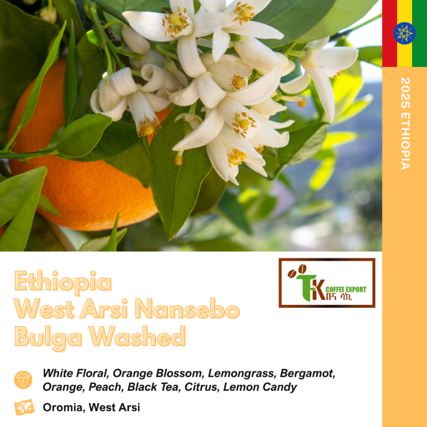 에티오피아 웨스트아라시 난세보 불가 워시드