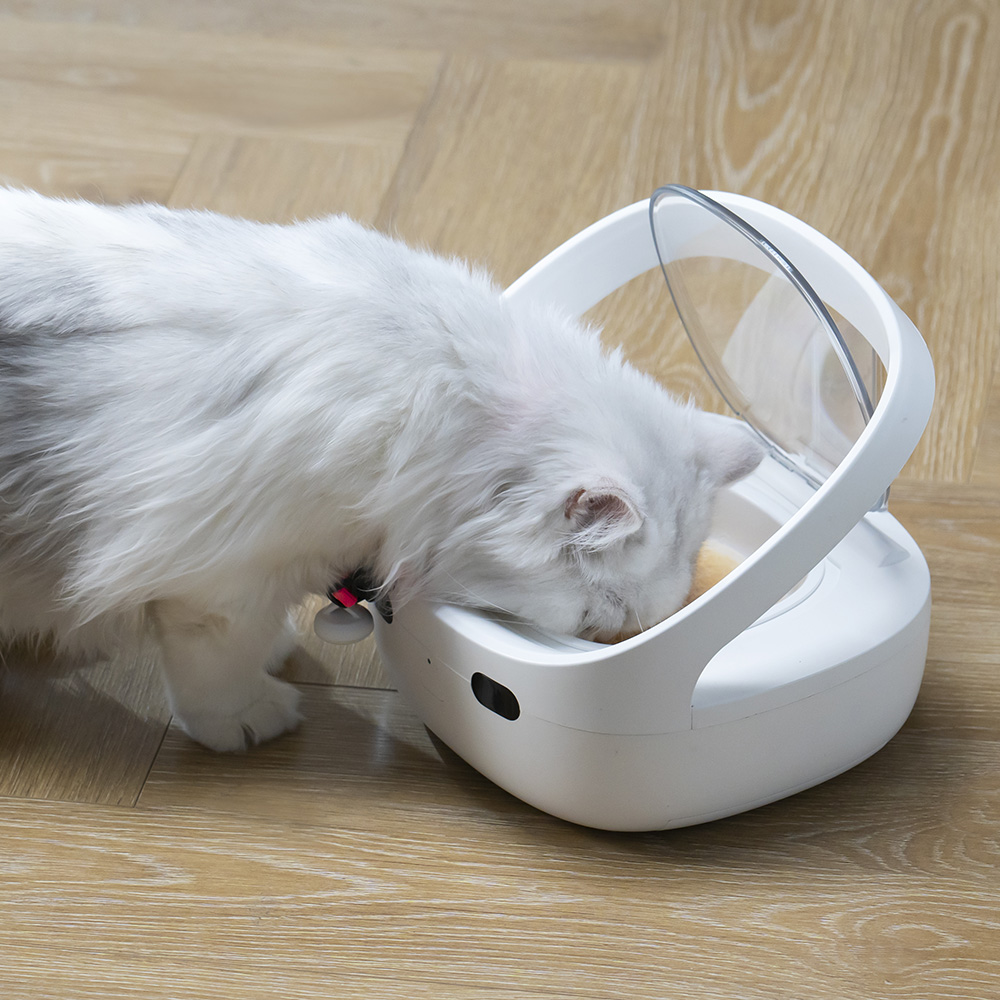 다묘가정 개별인식 자동급식기 내밥이야 RFID태그 목걸이 세트