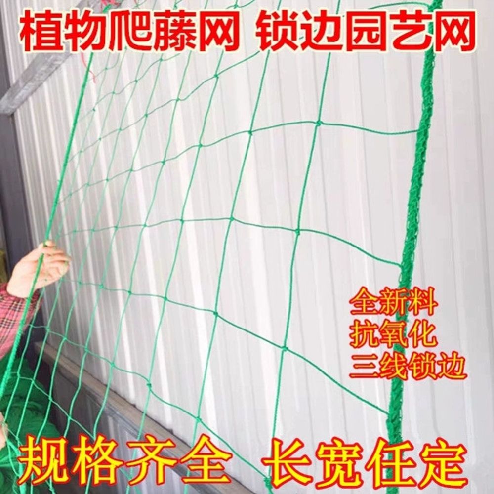 오이그물망 네트 호박망 원예 오이망 텃밭 그물망 그물 A. 폭 1m 길이 2m잠금 가장자리 - 상세 이미지 5