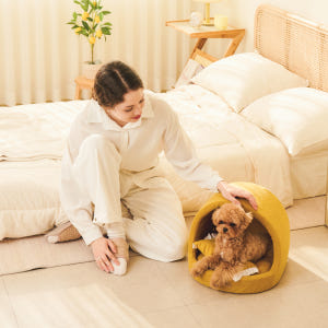 개과천선 케이브 강아지 집 하우스 고양이 동글이하우스 사계절 솔직 후기 | 실제 사용자 리뷰 총정리 - 상품 이미지 2