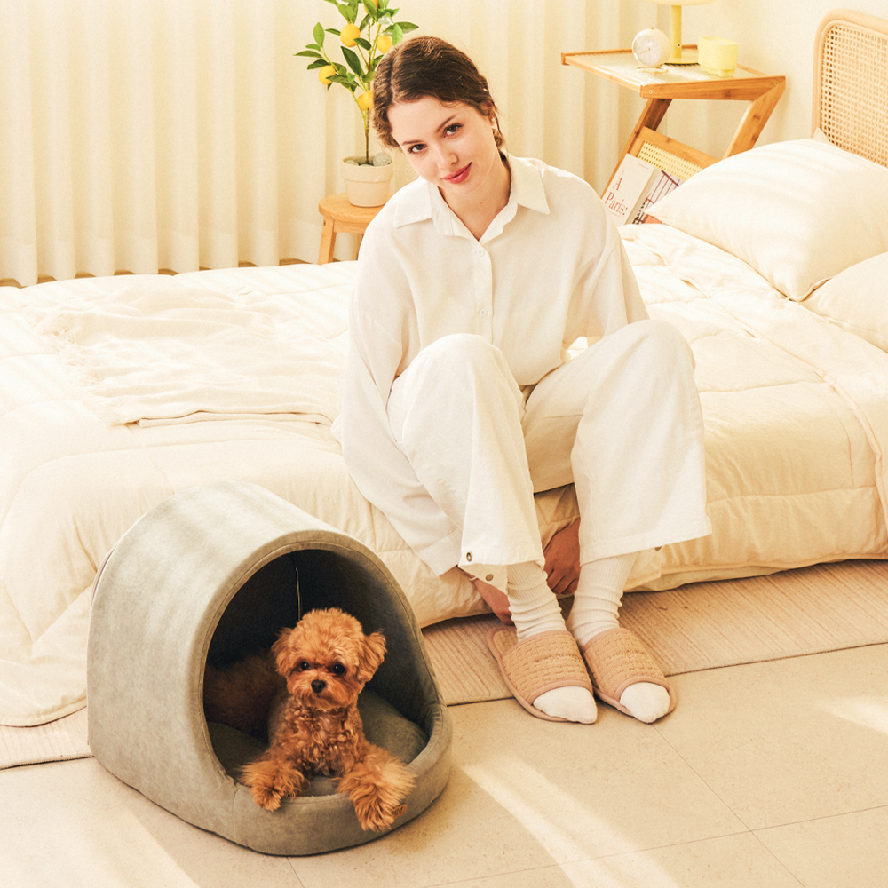 개과천선 케이브 강아지 집 하우스 고양이 동글이하우스 사계절