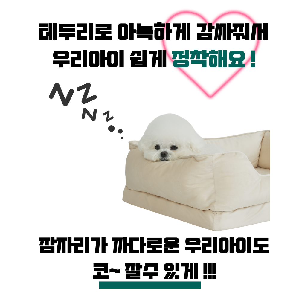 강아지 사각 방석 에그폼 관절 건강 마약방석 애견 쿠션 펫앤마마