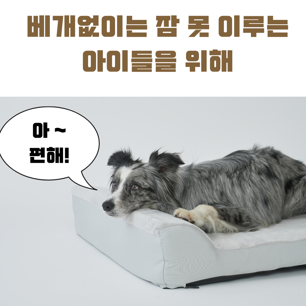 대형견 방석 대형 강아지 쿠션 침대 매트 애견 베개 방석 02 펫앤마마 - 상세 이미지 5