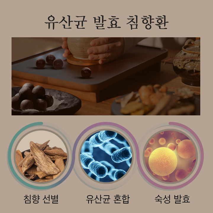 [네이버단독] 천호엔케어 침향단 침향환 발효 침향 원기력단 70환