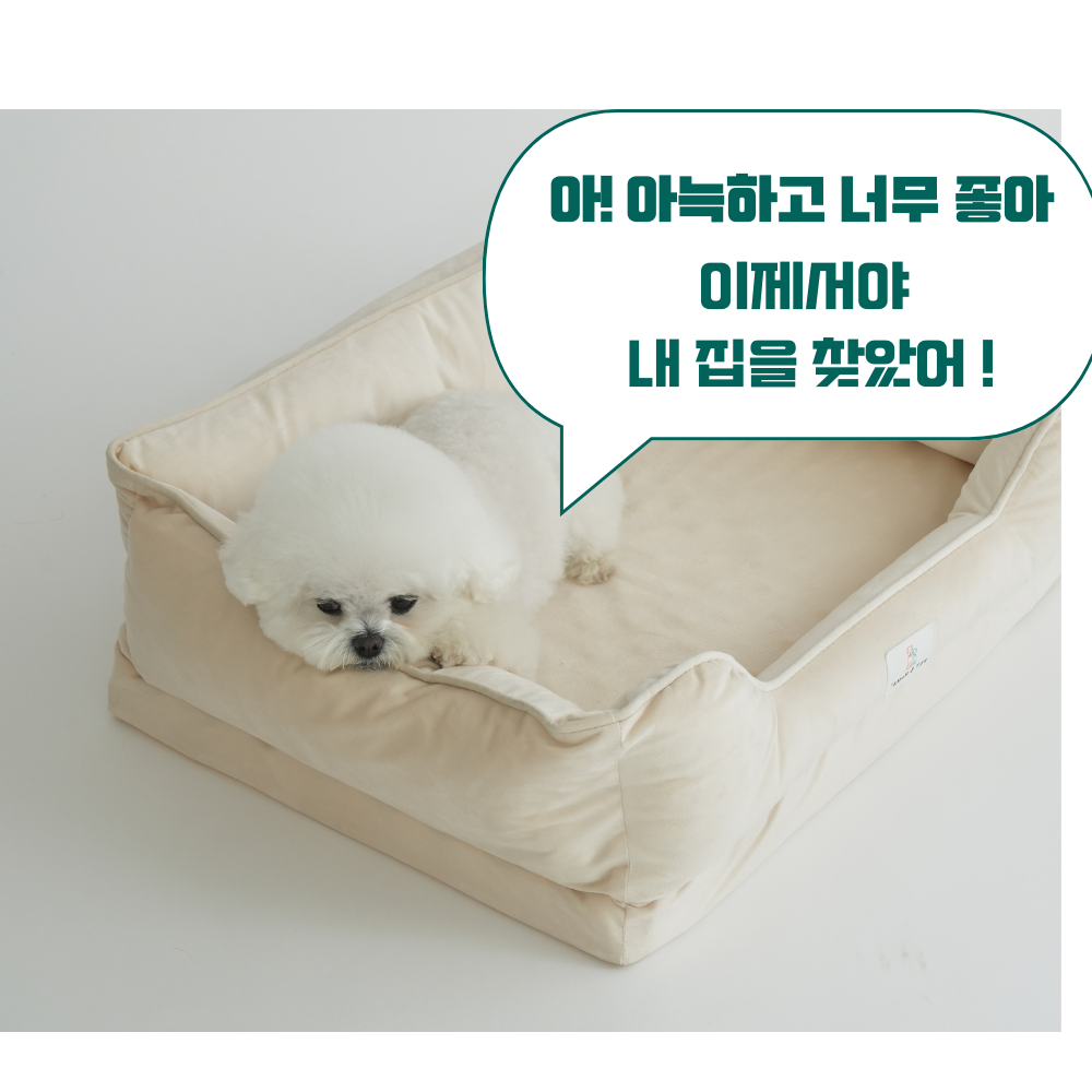 강아지 사각 방석 에그폼 관절 건강 마약방석 애견 쿠션 펫앤마마