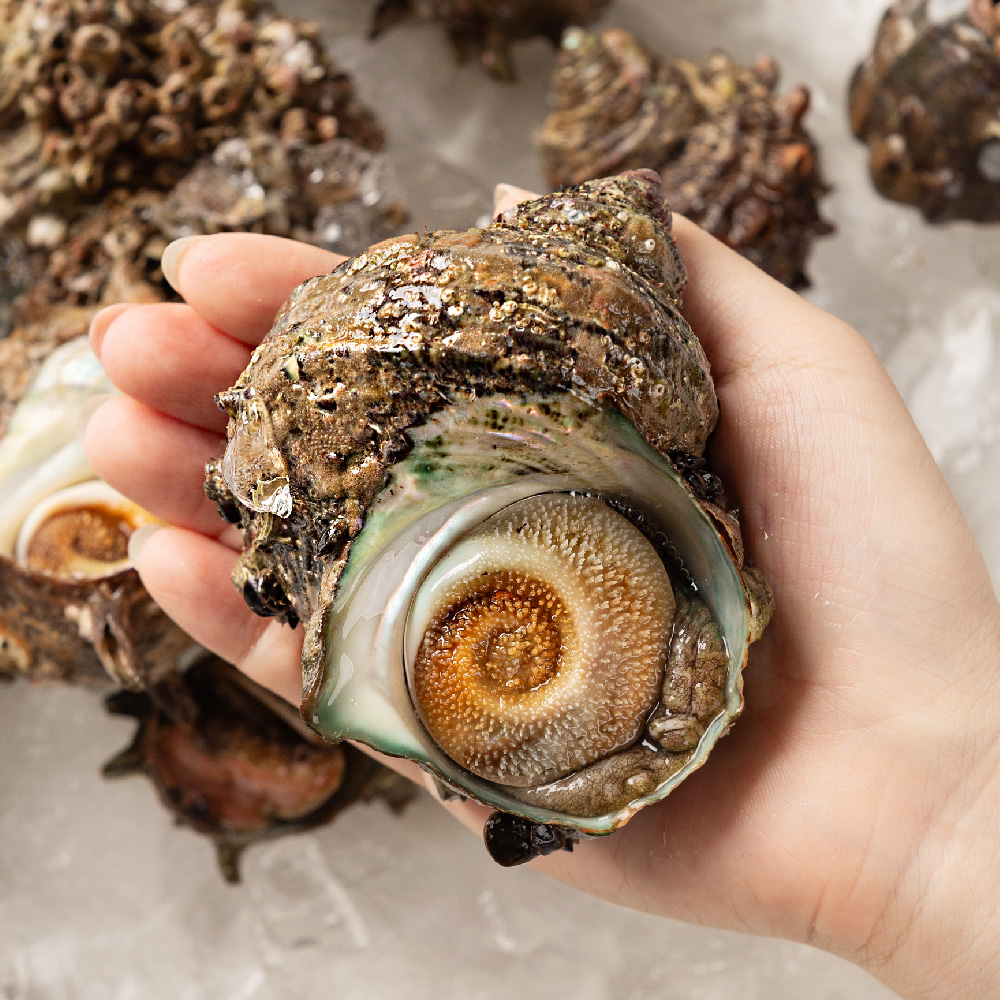 제철 뿔소라 1kg 자연산 소라 참소라 조개