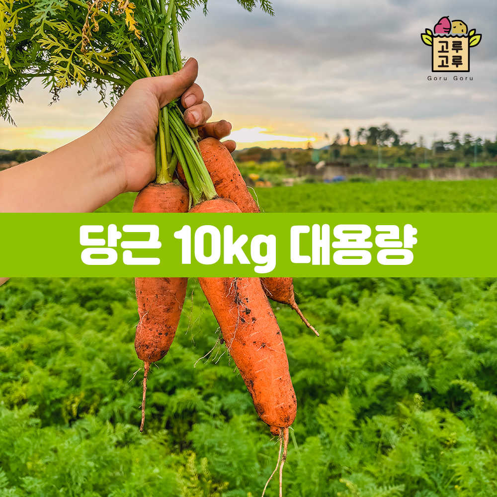 국내산 햇당근 10kg / 경남 햇당근 / 당근라페 당근주스 / 2025년 수확