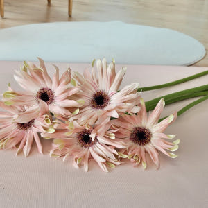 유스풀몰 파스타거베라 1송이 1줄기 생화택배 꽃배달 싼곳 솔직 후기 | 실사용자 리뷰 분석 - 상품 이미지 3