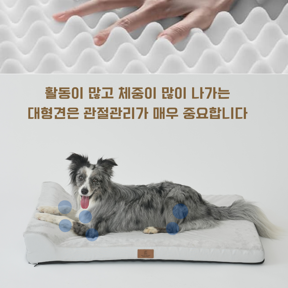 대형견 방석 대형 강아지 쿠션 침대 매트 애견 베개 방석 02 펫앤마마 - 상세 이미지 4