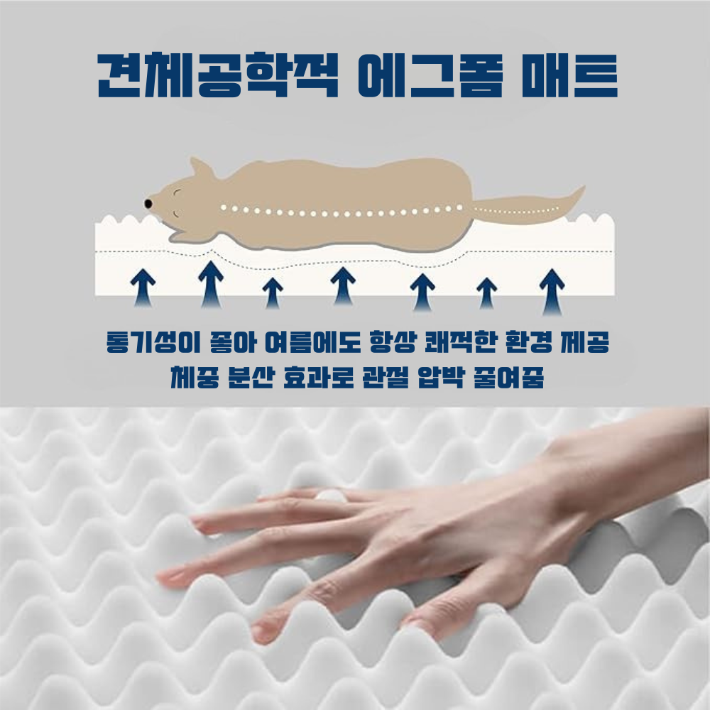강아지 사각 방석 에그폼 관절 건강 마약방석 애견 쿠션 펫앤마마