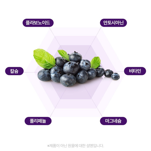 참굿즈 빌베리 추출물 100% 60정 1박스 2개월 눈 피로 건강 아이 케어 안토시아닌 - 상세 이미지 4