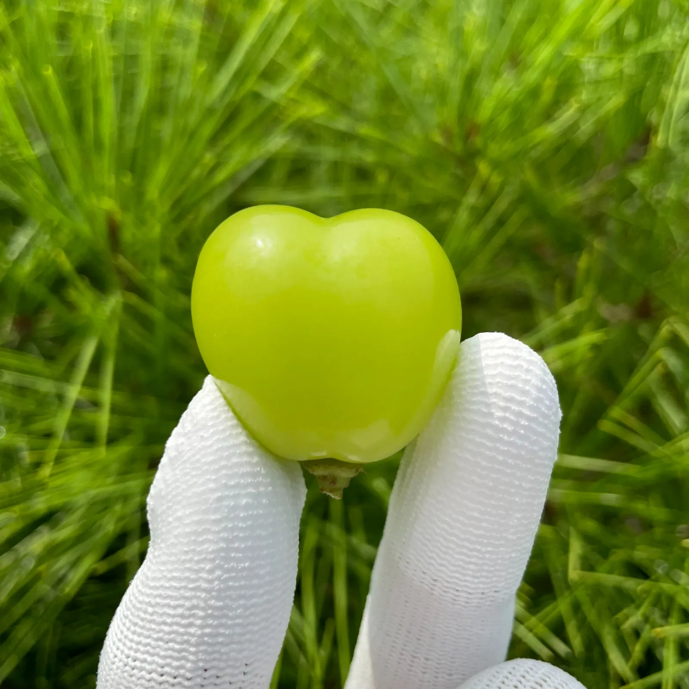 특품 샤인머스켓 샤인거봉 망고포도 씨없는 청포도 1kg 2kg - 상세 이미지 3