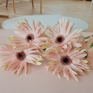 유스풀몰 파스타거베라 1송이 1줄기 생화택배 꽃배달 싼곳 솔직 후기 | 실사용자 리뷰 분석 - 상품 이미지 2