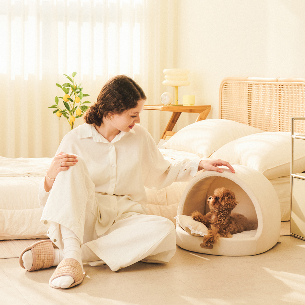 개과천선 케이브 강아지 집 하우스 고양이 동글이하우스 사계절