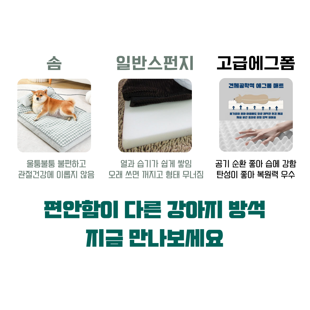강아지 사각 방석 에그폼 관절 건강 마약방석 애견 쿠션 펫앤마마